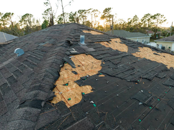 Best Commercial Roofing Services  in Elk Rapids, MI