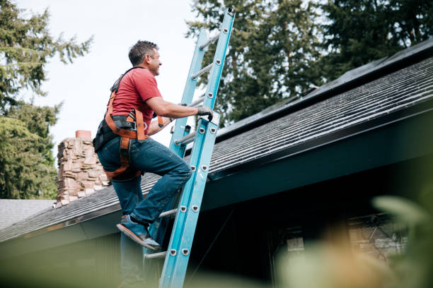 Best Roof Installation  in Elk Rapids, MI