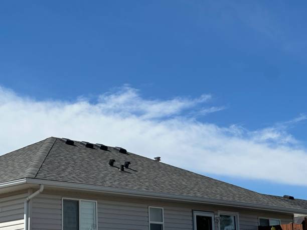 Best Hot Roofs  in Elk Rapids, MI
